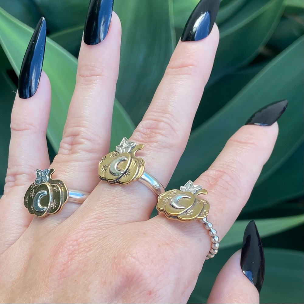 Pumpkin Rings - image 2